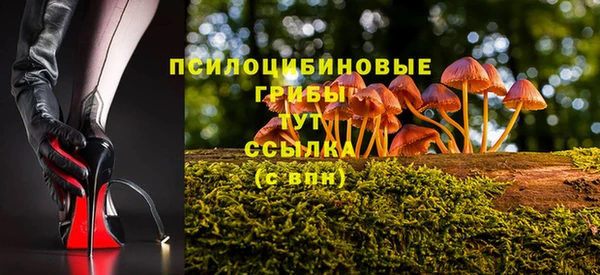 бошки Лиски
