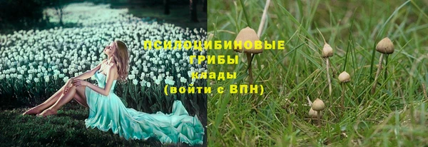 бошки Лиски