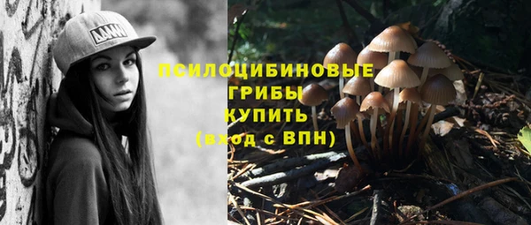 мет Липки